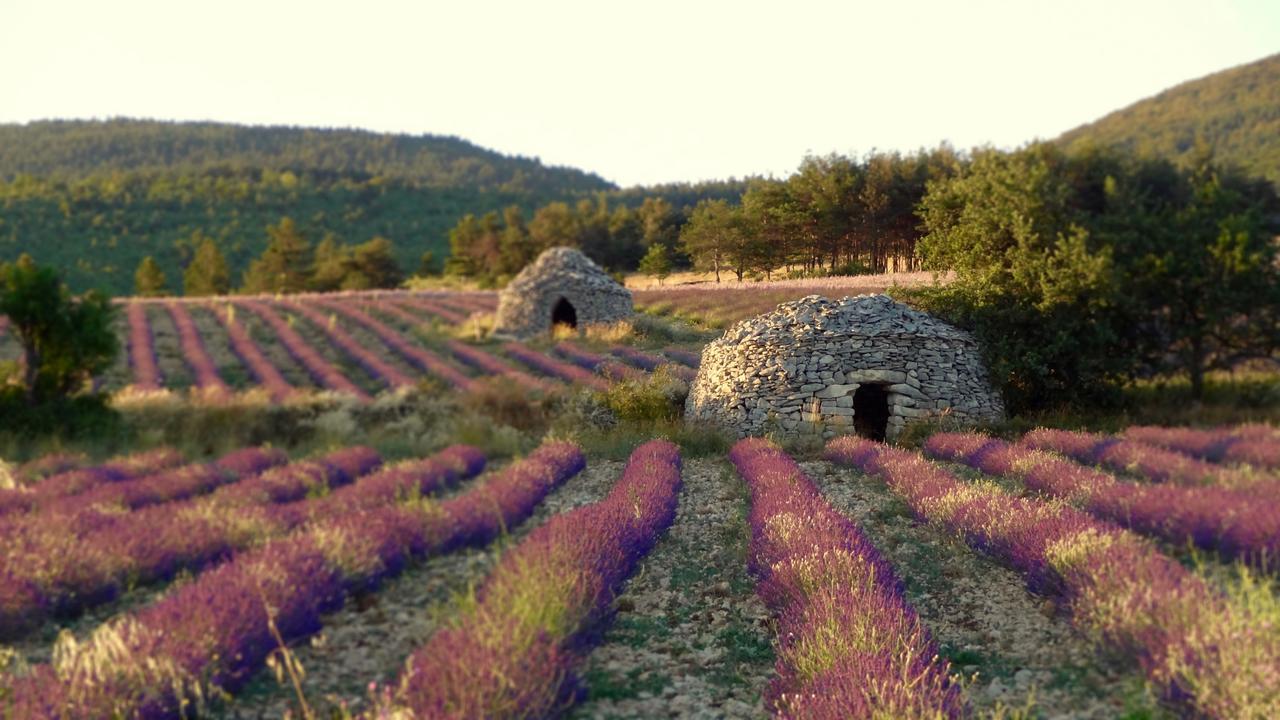 Chateau Ferrassieres Exterior photo